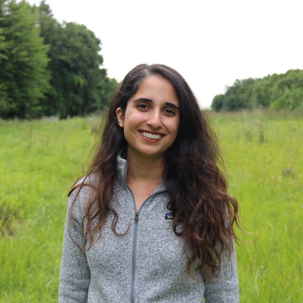 Meet your Posher, Parisa